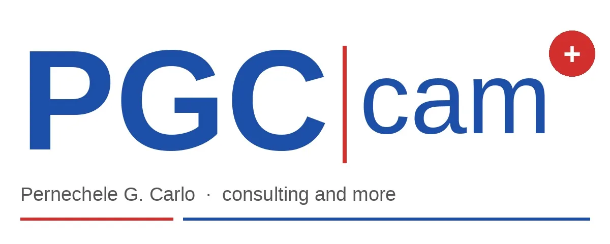 PGC-cam · consulting and more