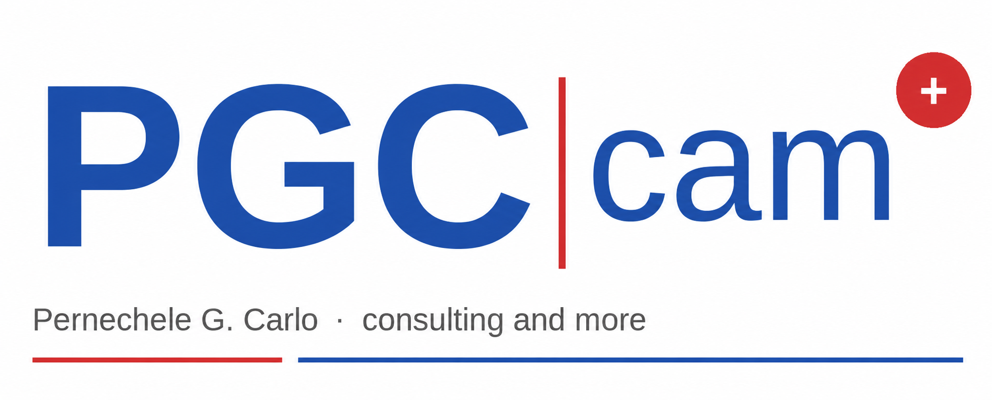 PGC-cam · consulting and more